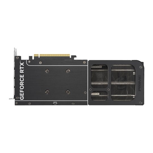 3690950-xl-d.jpg